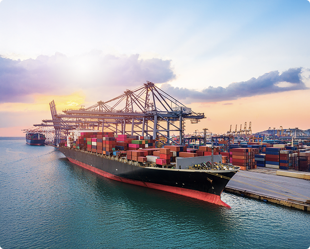 25개 국가, 글로벌 수출 국가