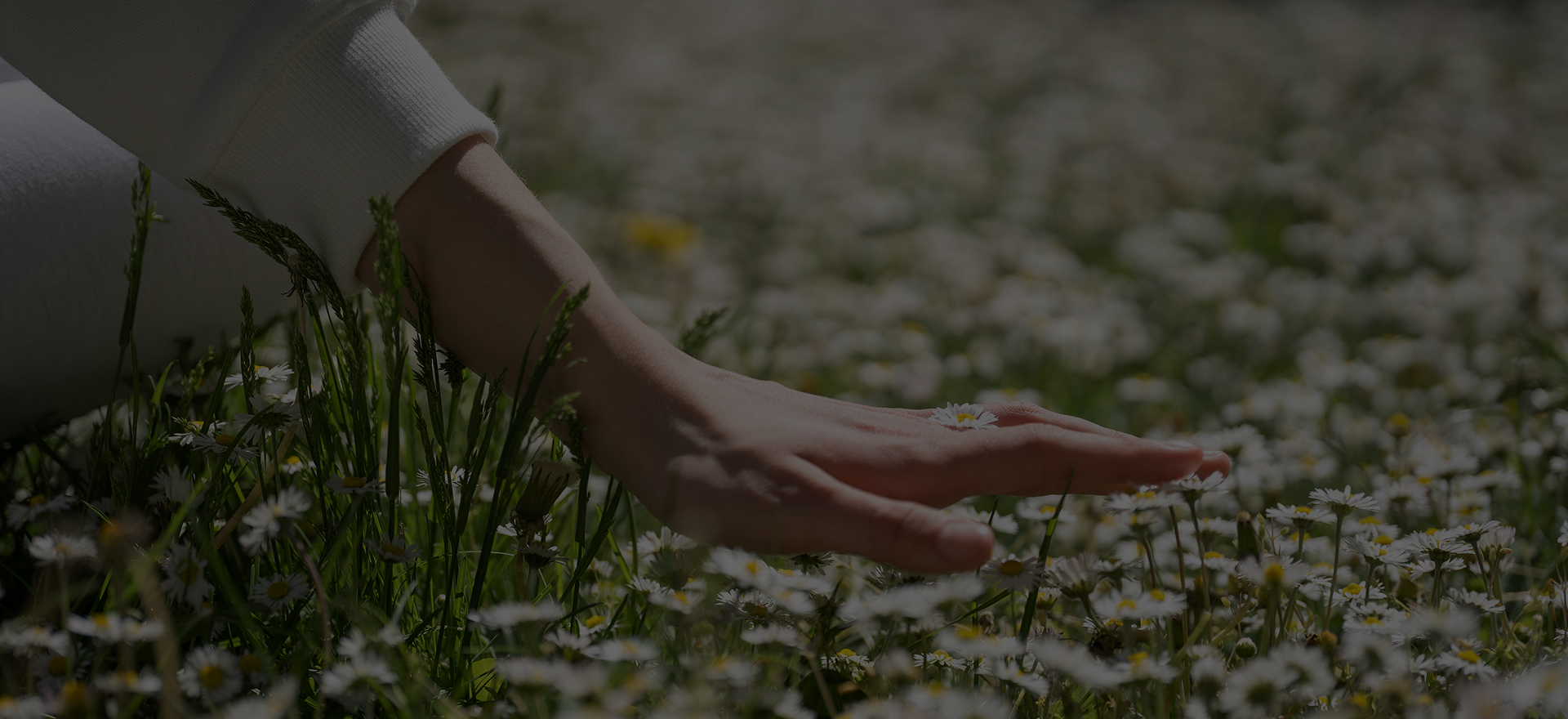 True beauty begins in every hand